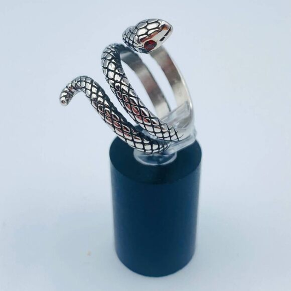 Snake Stainless Steel Ring With Red CZ Eyes Sizes 8,9,10,11 - Picture 1 of 5